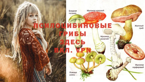 MDMA Армянск